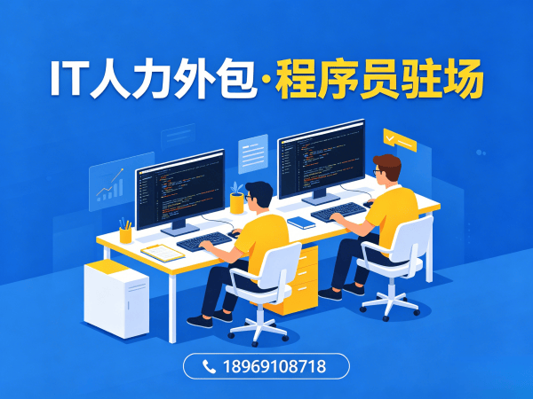 宁波IT人力外包解决方案：程序员大数据工程师驻场开发的高效选择