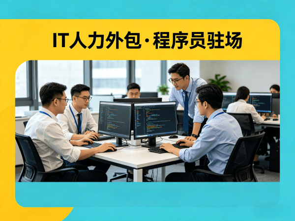 成都IT人力外包和项目外包区别外包：企业如何通过灵活用工解决技术人才短缺难题